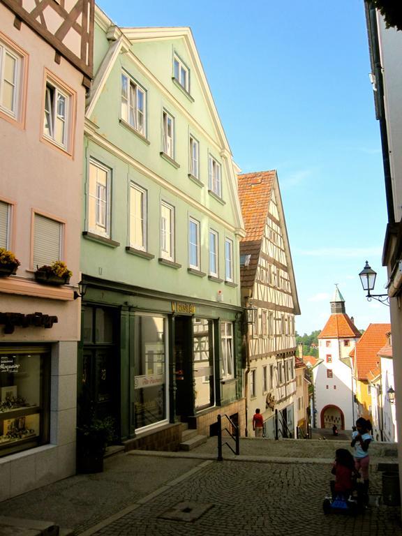 Ferienwohnung Am Ziegelbach Hechingen Eksteriør billede