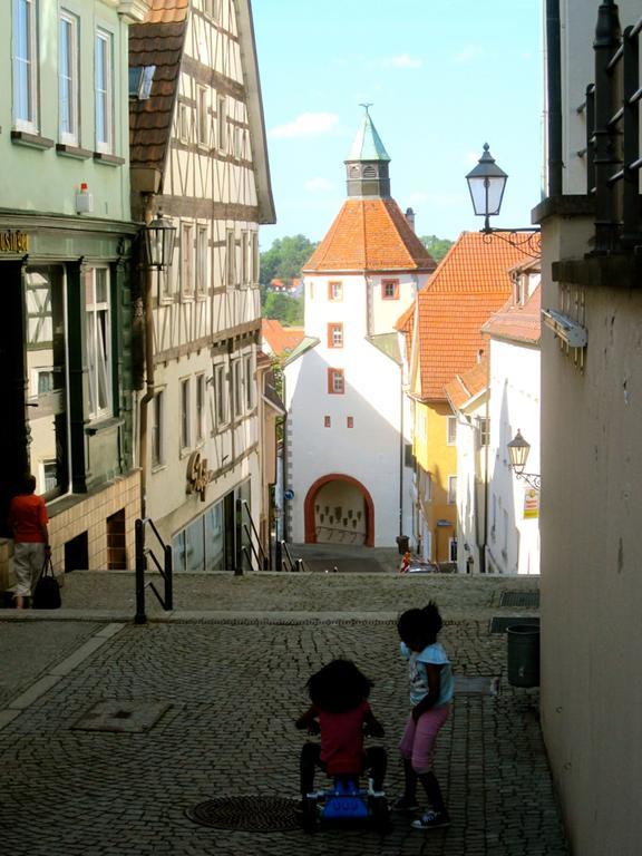 Ferienwohnung Am Ziegelbach Hechingen Eksteriør billede